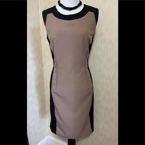 Calvin Klein beige and black